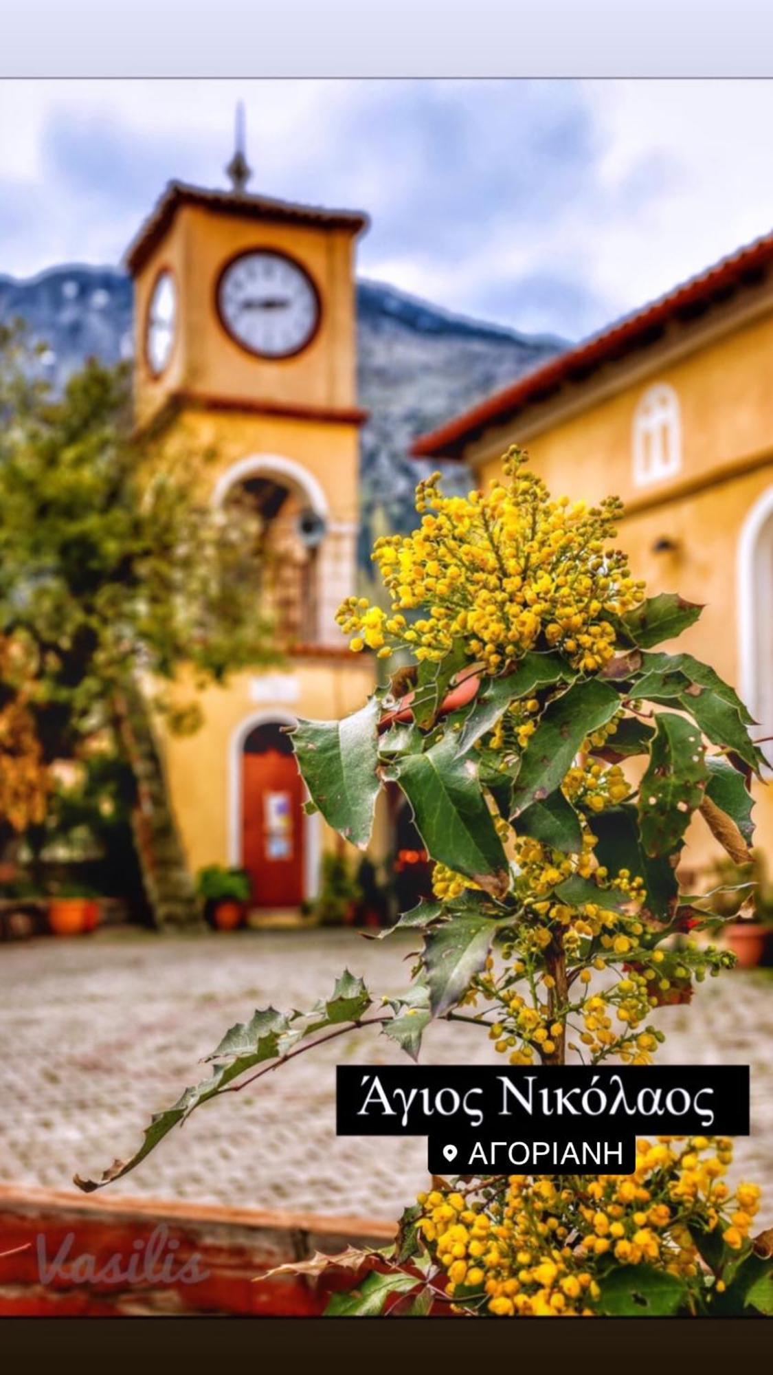 Asimina Guesthouse, Eptalofos Parnassos Exterior foto