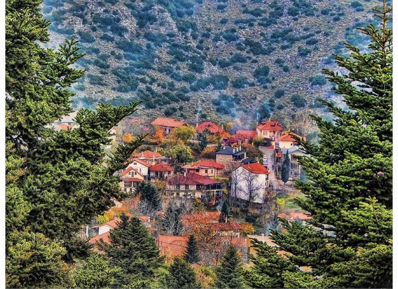 Asimina Guesthouse, Eptalofos Parnassos Exterior foto
